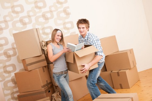House move planning in Lambeth with boxes and furniture