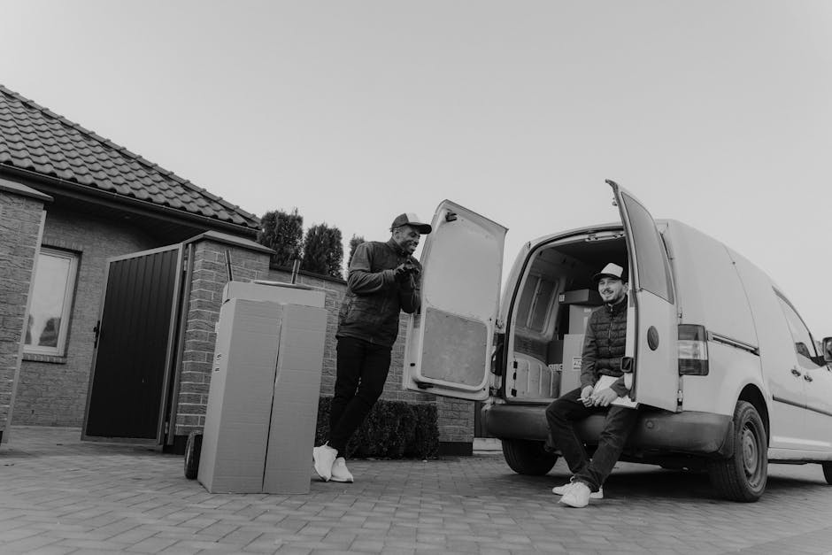 A young man with a beard and dark hair, wearing a black cap and a white polo shirt, stands inside the open rear doors of a moving van filled with numerous sealed brown cardboard boxes of various sizes
